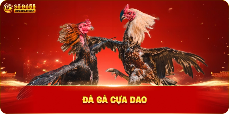 Đá gà cựa dao Sodo66