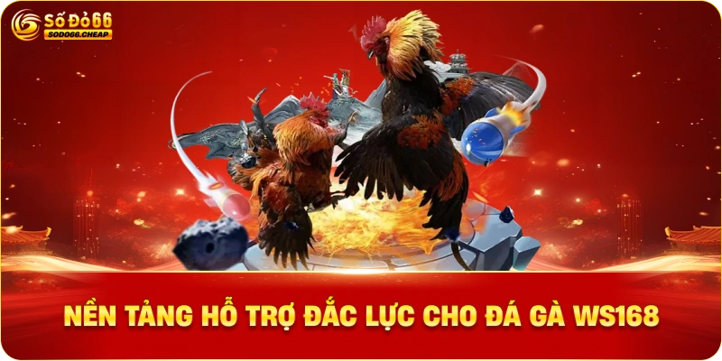 Nền Tảng Hỗ Trợ Đắc Lực Cho Đá Gà