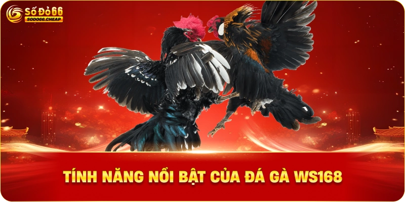Tính Năng Nổi Bật của Đá Gà