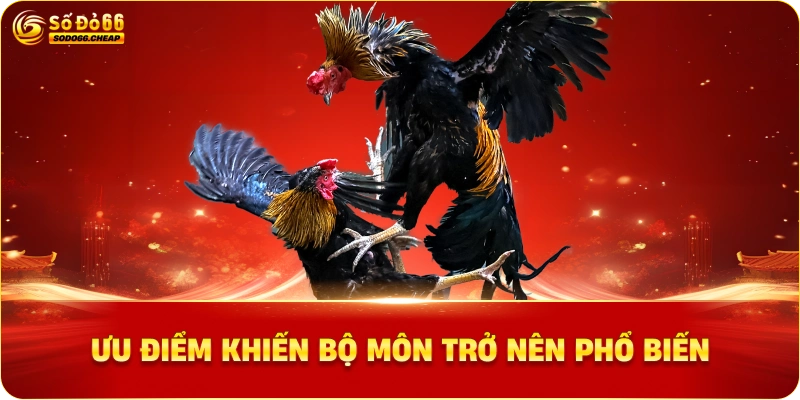 Ưu điểm khiến bộ môn trở nên phổ biến
